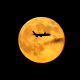 A plane passes in front of the "Beaver supermoon" on Nov. 5, 2025 over Louisville, Ky.