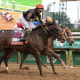 Kentucky Derby Horse Racing