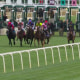 Rob Atras’ trainee snaps a six-race losing streak to win the Jim McKay Turf Sprint by a nose at Laurel Park.