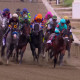 Chad Summers’ three-year-old stalked the leader early and finds another level in the final stretch to win the 151st Preakness Stakes.