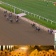 Watch as Larry Collmus, the voice of the Preakness Stakes, calls Napoleon Solo's victory run at Laurel Park.
