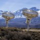 Two prototype dishes seen outside, mountainous landscape behind them