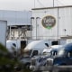 Several semi-trucks parked in front of a warehouse with the Taylor Farms logo on its facade.