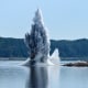 TOPSHOT-ROMANIA-DANUBE-DROUGHT