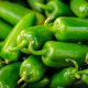 Green Jalapeño Peppers.