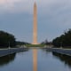 A peeling section of coating bobs above the water in the reflecting pool on the National Mall.