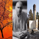 Spokane arson suspect Aaron Farinacci