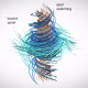 A snapshot of local incompressible motion. Orange marks faster angular rotation; teal marks slower rotation. Circulating speed also depends on radius. The trajectories show inward spiraling and axial stretching.