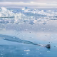 Icebergs And Effects Of Climate Change