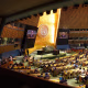 United Nations General Assembly