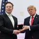 Tesla and SpaceX CEO Elon Musk (L) receives the National Medal of Science from U.S. President Donald Trump.
