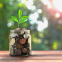 concept money and small tree in jar and sunshine
