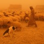 Image: Sandstorm