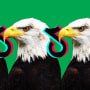 Photo Illustration: A bald eagle with the TikTok logo gripped in its beak