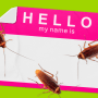 Photo illustration of a "Hello, my name is..." sticker with cockroaches crawling over it.