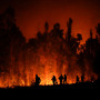 Volunteers carry supplies for firefighters near trees burning in Puren, Chile, late Saturday, Feb. 4, 2023. 