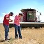 AKRON, CO - JULY 15 : Jim Diamond, left, and his wife Sally Jones-Diamond check the wheat during the harvest season at a farm in Akron, Colorado on Friday, July 15, 2022. They said the size of wheat are half of the other seasons because of drought.