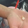 Imagen de la pequeña bolsa con cocaína que fue hallada dentro de un perro caliente en una cafetería Sonic de Nuevo México. 