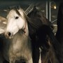 Wild horses are unloaded in preparation for an auction in Beaumont, Texas, in 2021. 