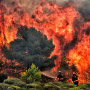 Firefighters try to extinguish flames during a wildfire at the village of Kineta, near Athens, on July 24, 2018. - Raging wildfires killed 74 people including small children in Greece, devouring homes and forests as terrified residents fled to the sea to escape the flames, authorities said Tuesday. 