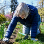 Garden Club Maintains Public Garden In Pennsylvania