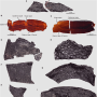 Three-dimensional skin cast and compression fossils from unknown amniotes.