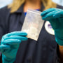 A seized bag of 4-fluoro isobutyryl fentanyl which was seized in a drug raid is displayed at the Drug Enforcement Administration (DEA) Special Testing and Research Laboratory in Sterling, Va., on Aug. 9, 2016. 