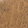 Satellite images shot for the AP appear to show workers have laid out "I LOVE UAE" next to the runway, an abbreviation for the United Arab Emirates.