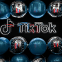 TikTok branding at the Web Summit Qatar 2024