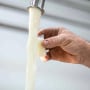 Farmer taking a raw milk sample in a container from a faucet