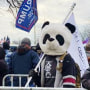 Jesse James Rumson wears a panda headpiece in Washington on Jan. 6, 2021.