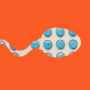 Illustration of a sperm filled with birth control pills 