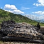 The charred slab of debris that came from a SpaceX capsule