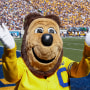 The California Golden Bears mascot Oski