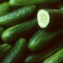 Pile of fresh cucumbers with one cut open