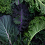 Leafy green vegetables