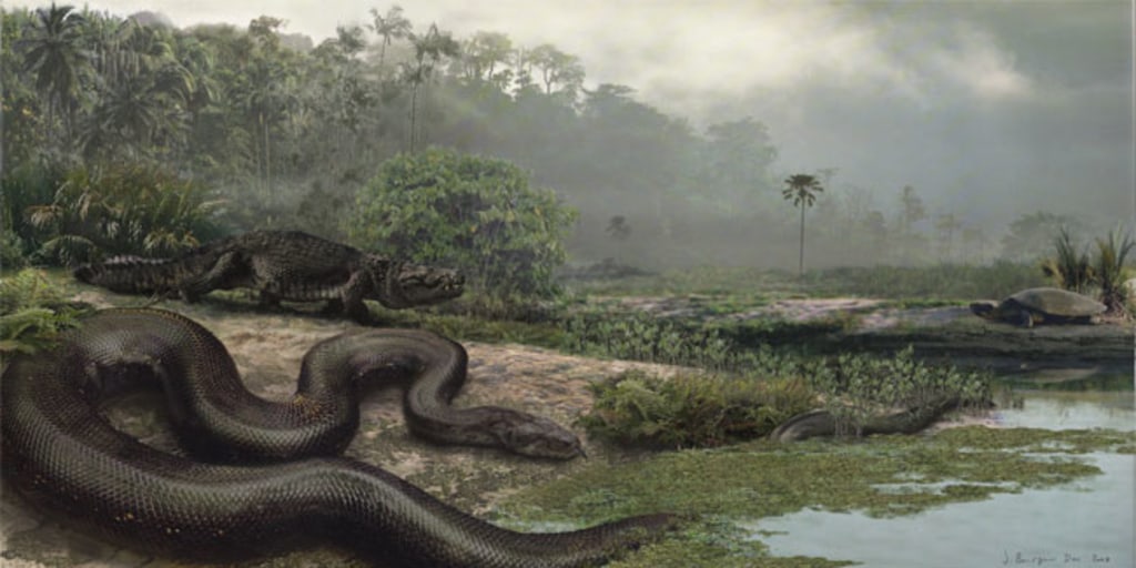 Ancient snake was as long as a bus