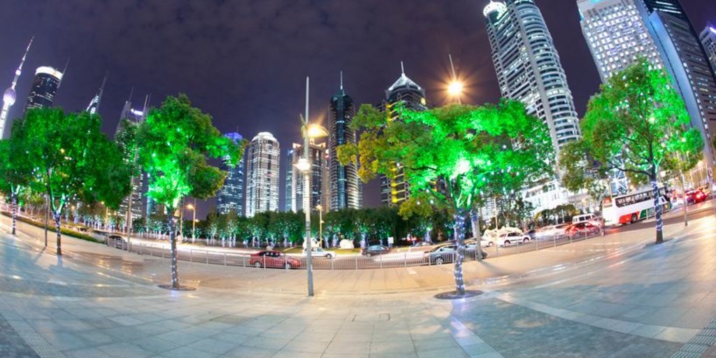 Glowing trees to replace street lamps