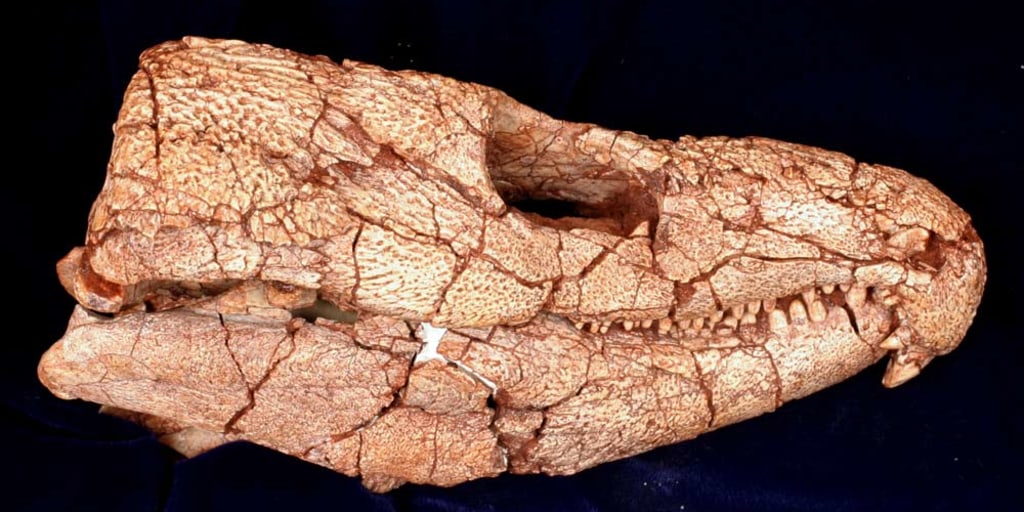 110418-ancient-reptile-jaw-