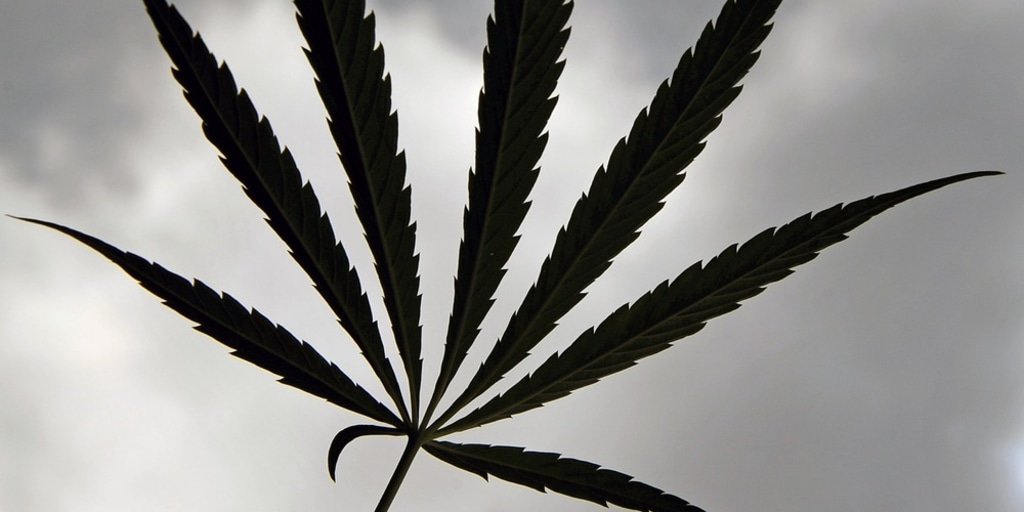 Delivering Weed With A Fake Id Reddit