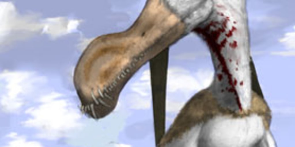 World's largest toothed pterosaur discovered