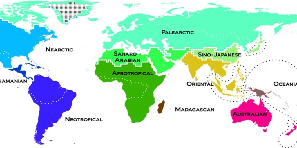 World Regions Map Labeled Where Earth's Life Lives: Famous Map Gets An Update