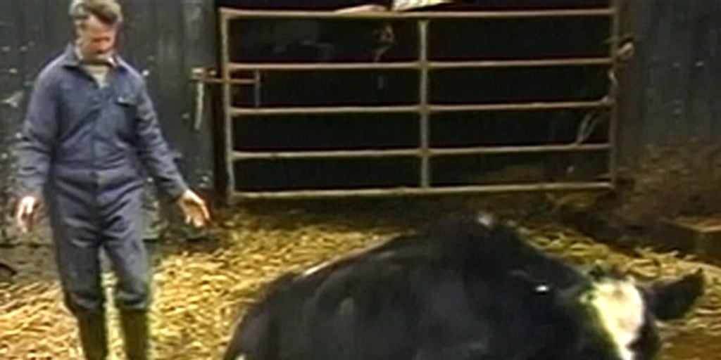 Mad cow disease found in California