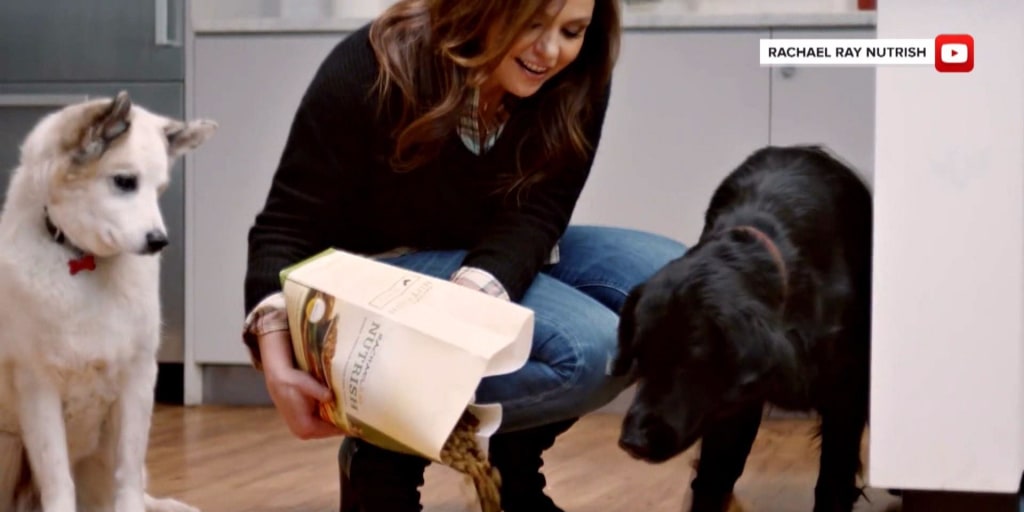 Rachael Ray s Nutrish natural dog food is potentially harmful lawsuit says