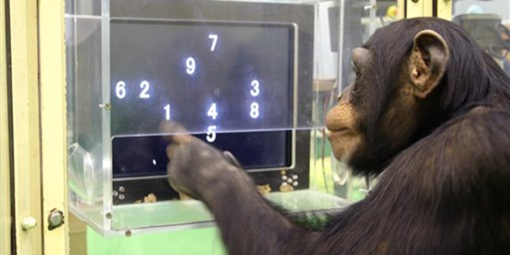 Study: Monkeys are much smarter than we thought they were •