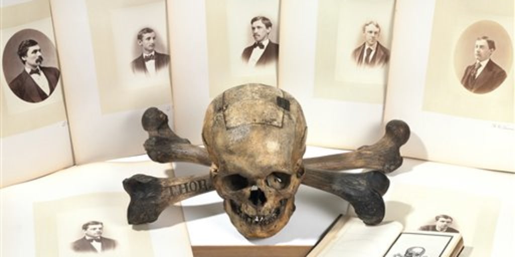 Skull And Bones - CBS News