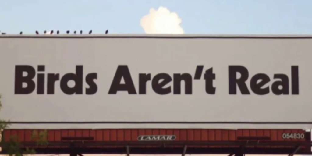 How the Birds Aren't Real conspiracy became a 'mass coping mechanism' for Gen Z - Vimarsana News