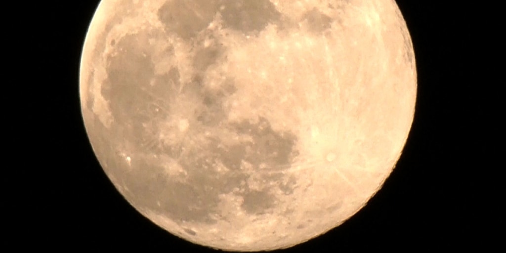 f_mo_lon_beavermoon_241115-