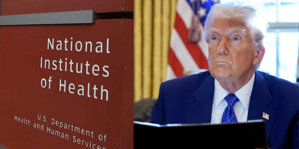 National Institutes of Health employee on ‘chilling effects’ of Trump’s health agency purge