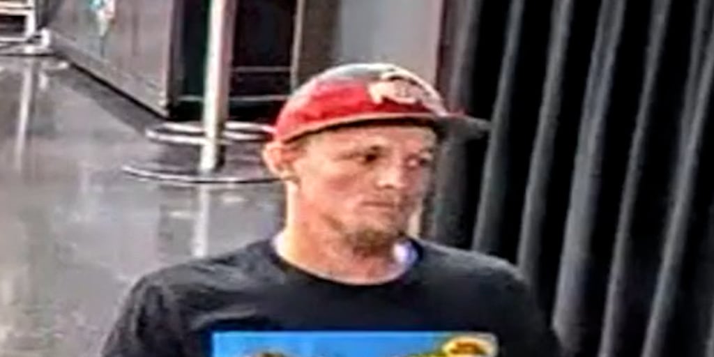 Suspect arrested in connection to sex toy throwing